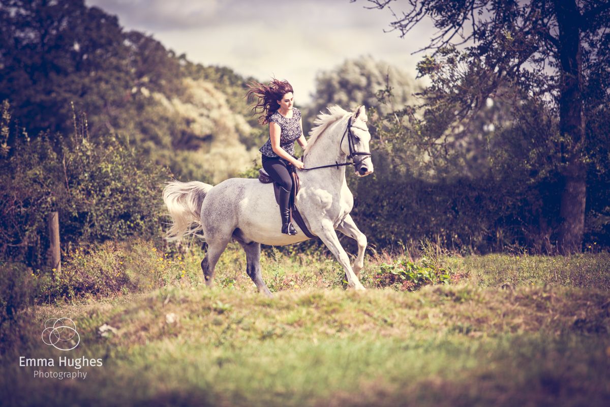 Horse gallery - Emma Hughes Photography