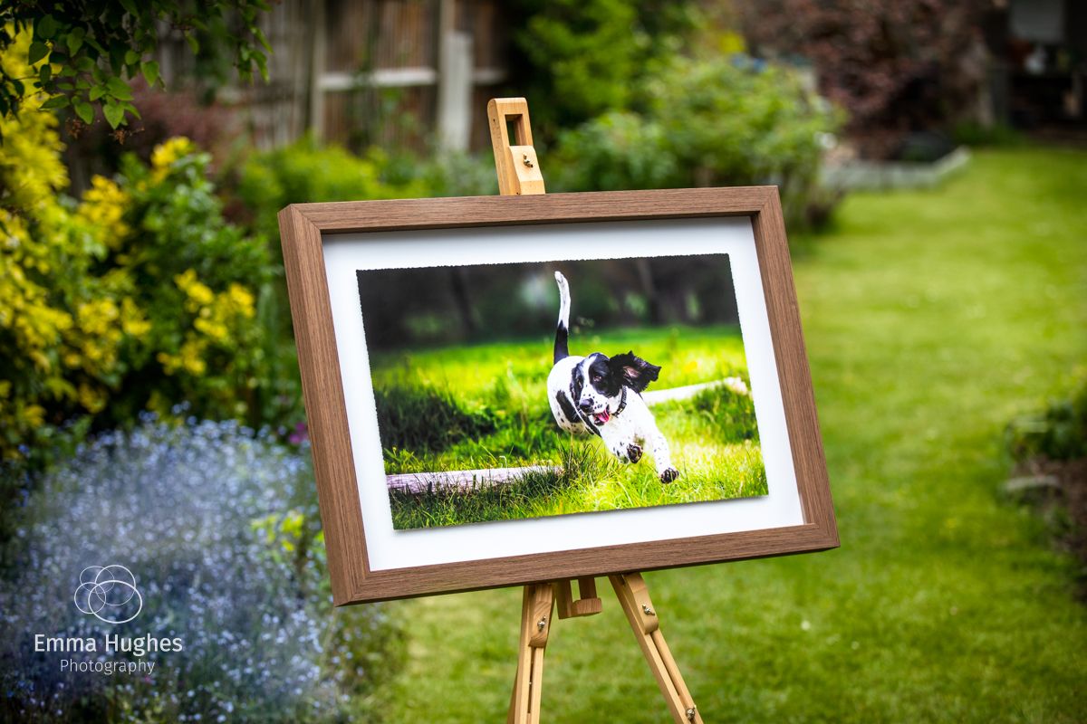 fine art float frame